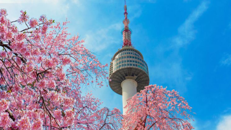 Dịch vụ tư vấn visa Hàn Quốc đơn giản - nhanh chóng